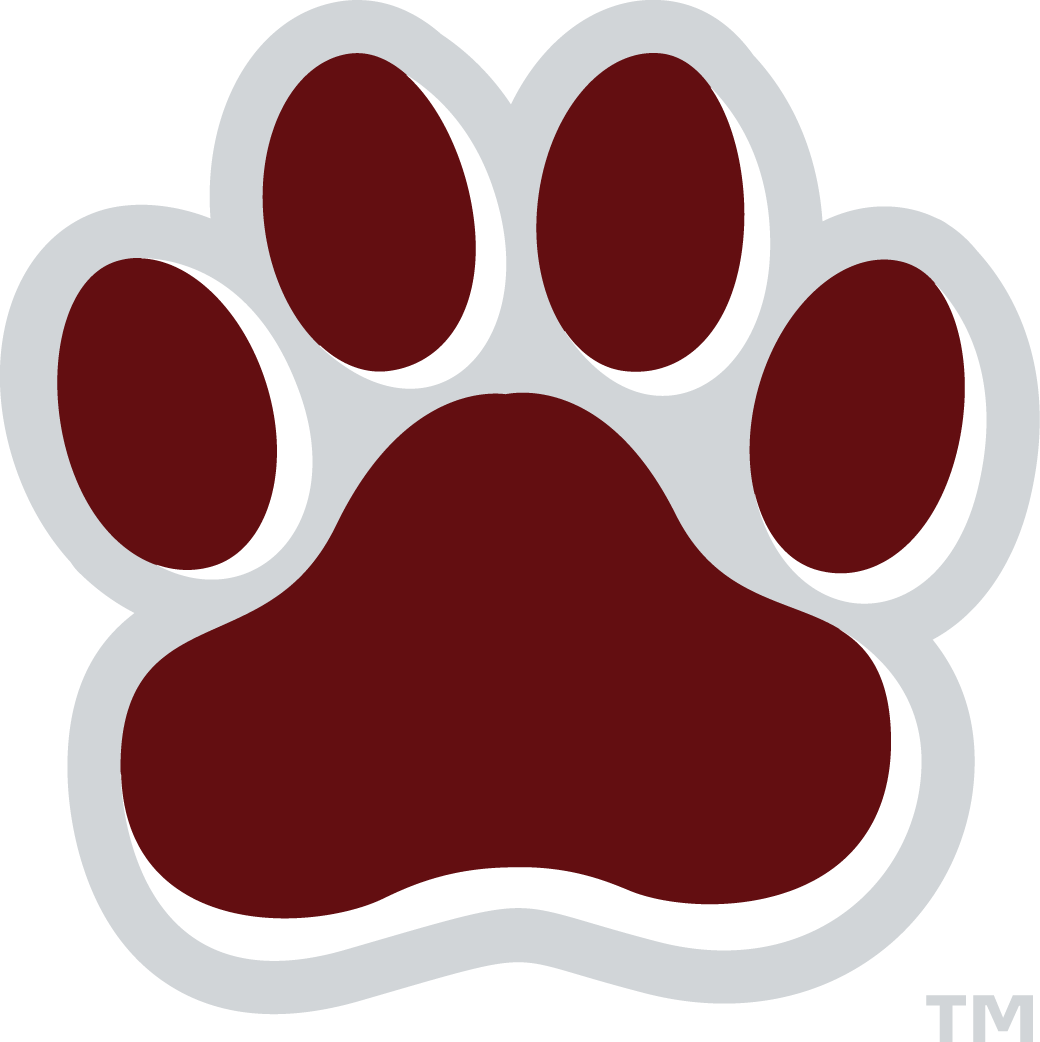 Mississippi State Bulldogs 2009-Pres Alternate Logo v5 iron on transfers for clothing